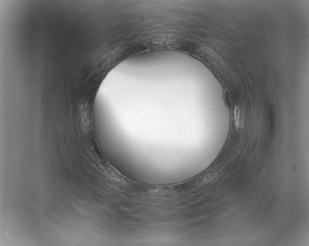 X0000074951107200609221724