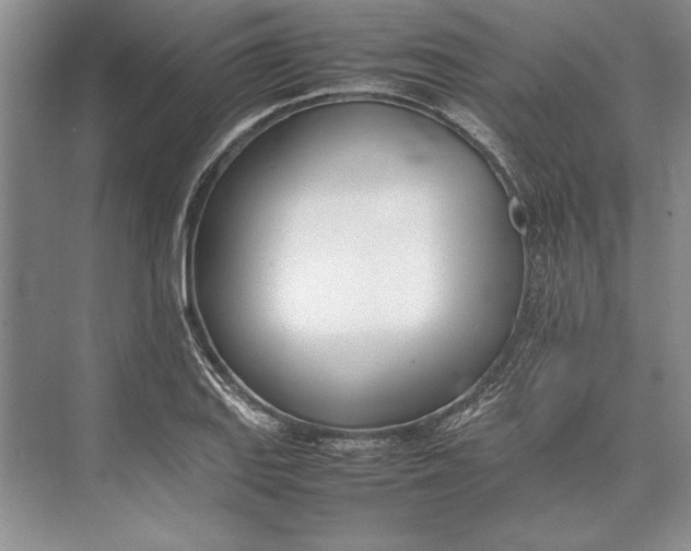 X0000074951127200609221724