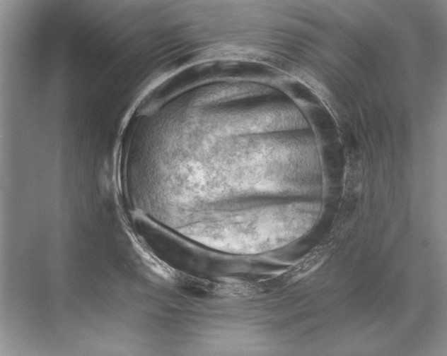 X0000074951128200609221724