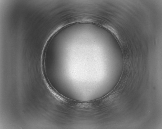 X0000074951135200609221724