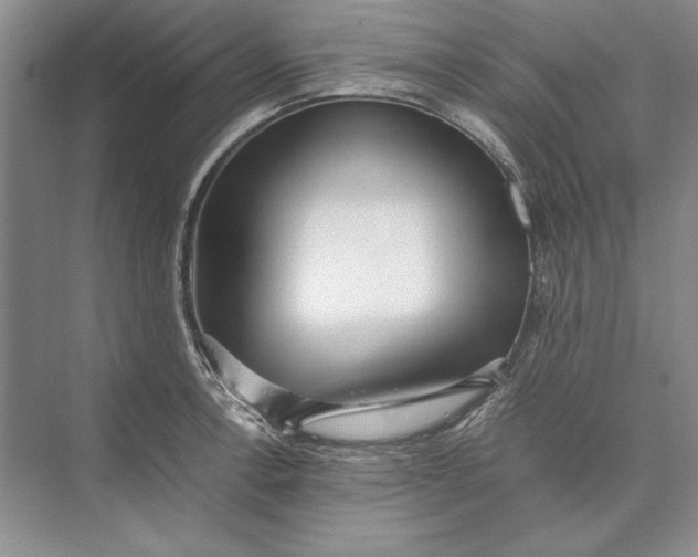 X0000074951138200609221724