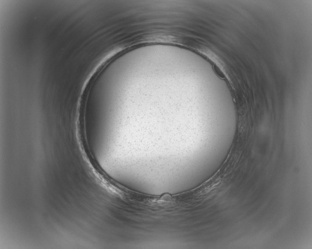 X0000074951139200609221724