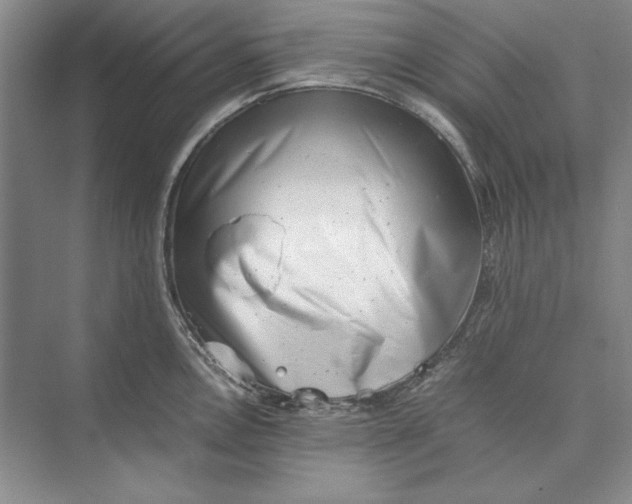 X0000074951146200609221724