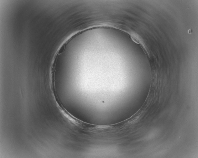 X0000074951151200609221724