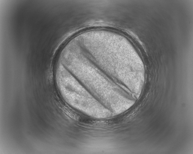 X0000074951167200609221723