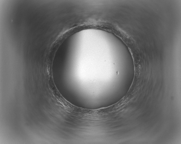 X0000074951206200609221722