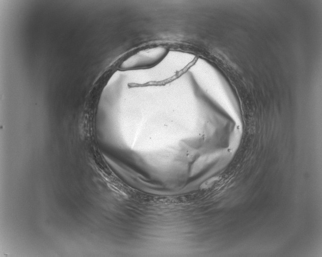 X0000074951208200609221722