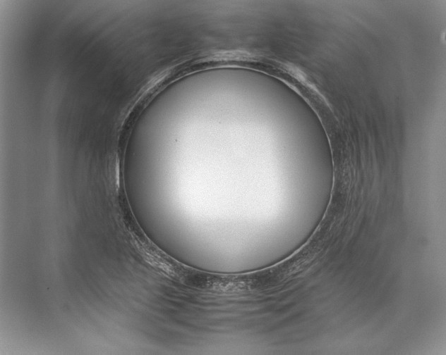 X0000074951221200609221722