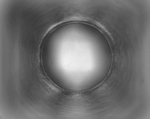 X0000074951222200609221722
