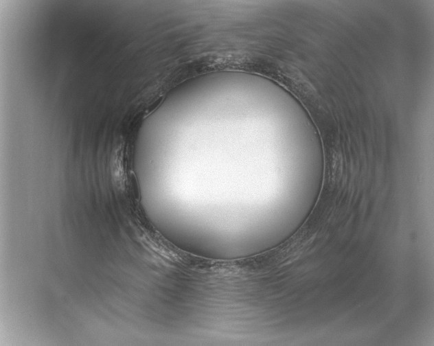 X0000074951250200609221722