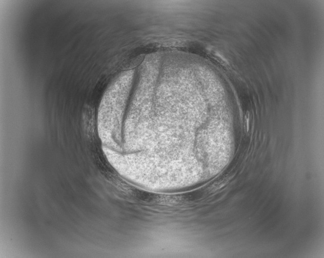 X0000074951251200609221722