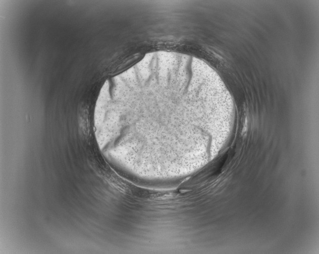 X0000074951252200609221722