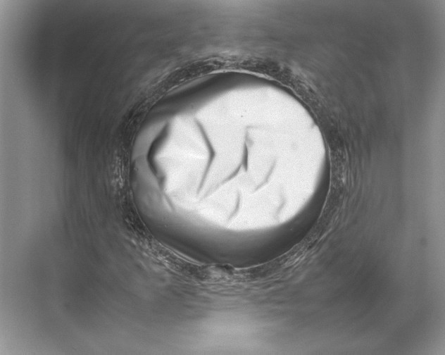 X0000074951253200609221722