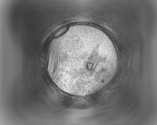 X0000074951255200609221722