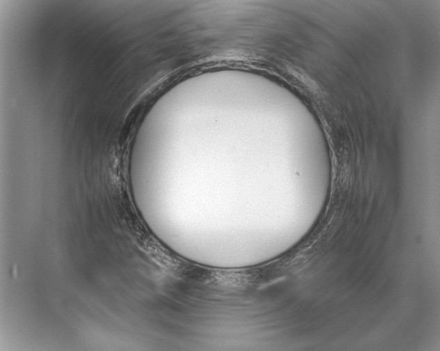 X0000074951258200609221722