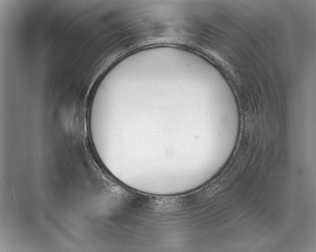 X0000074951274200609221721
