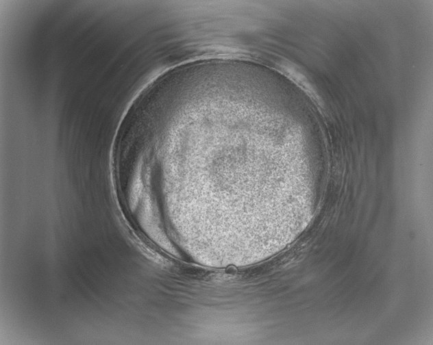 X0000074951283200609221721