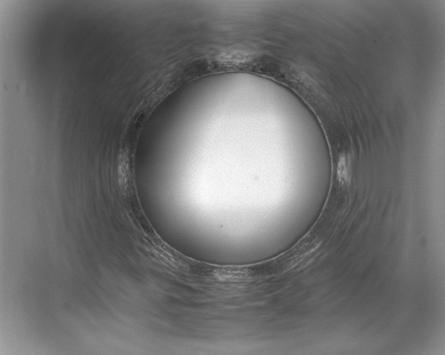 X0000074951299200609221720