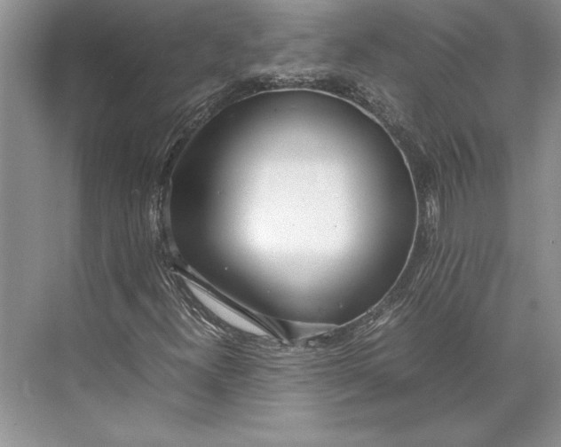 X0000074951300200609221720