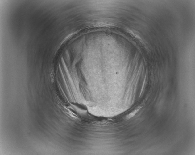 X0000074951306200609221720