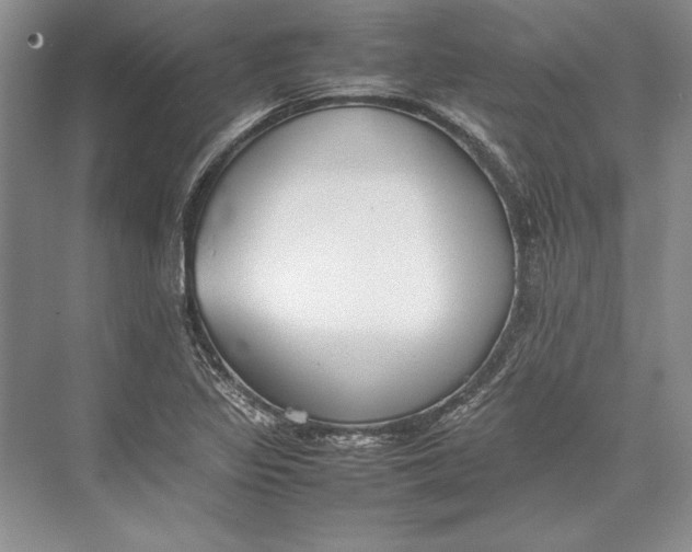 X0000074951317200609221721