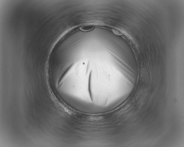 X0000074951325200609221721
