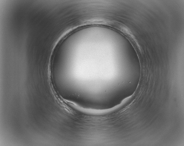 X0000074951328200609221721