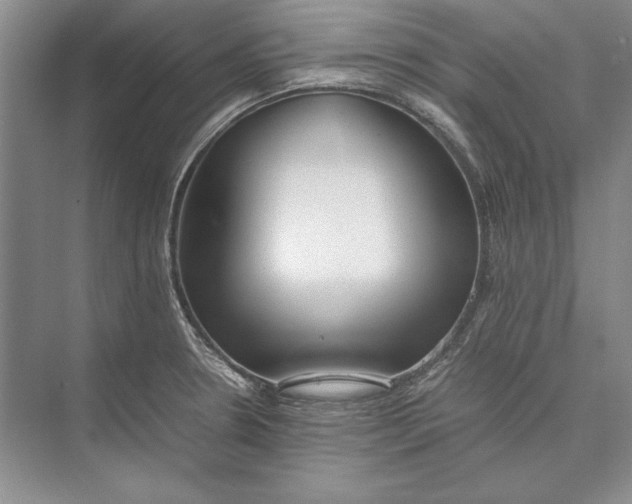 X0000074951330200609221721