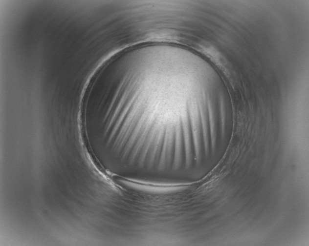 X0000074951331200609221721