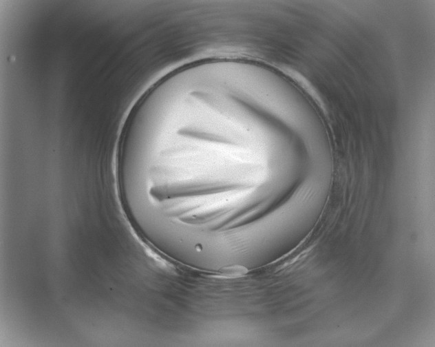 X0000074951343200609221721