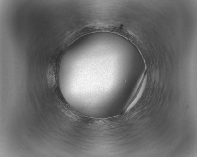 X0000074951348200609221720