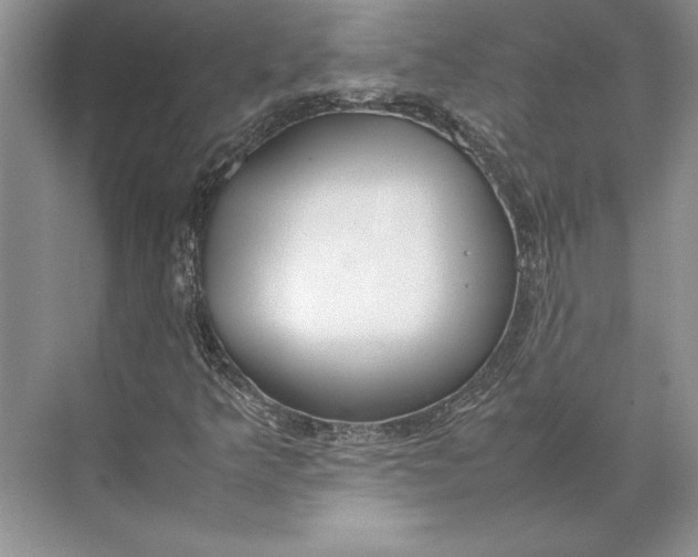 X0000074951349200609221720
