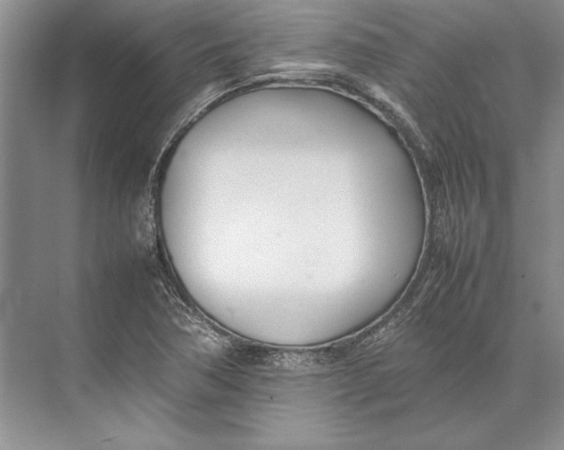 X0000074951362200609221720
