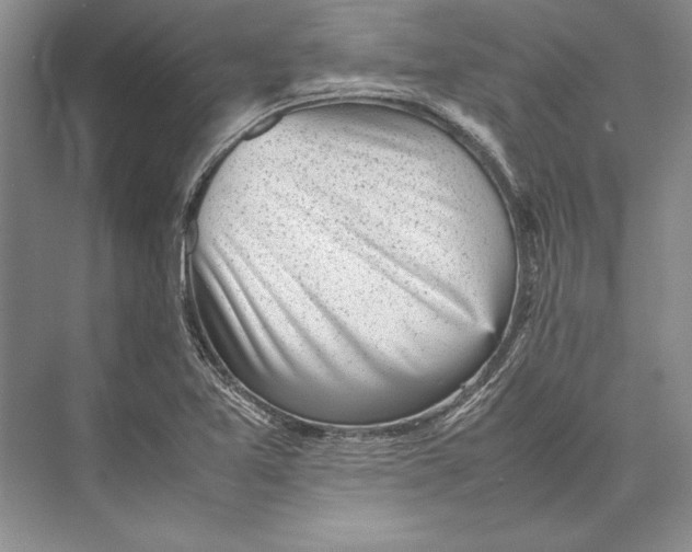 X0000074951365200609221720