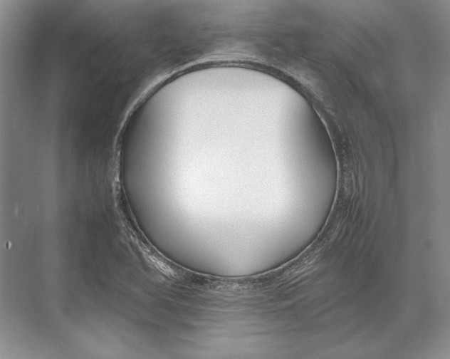 X0000074951366200609221720