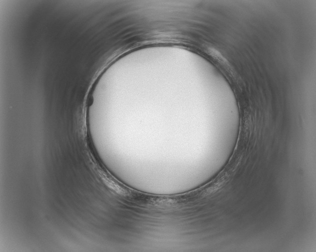 X0000074951370200609221720