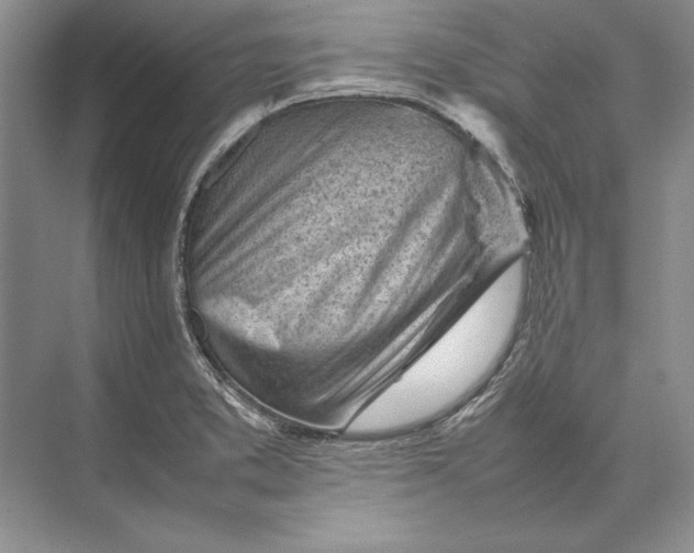 X0000074951373200609221720