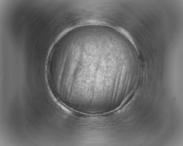 X0000074951381200609221720