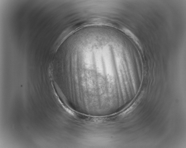 X0000074951385200609221720