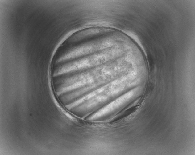 X0000074951389200609221719