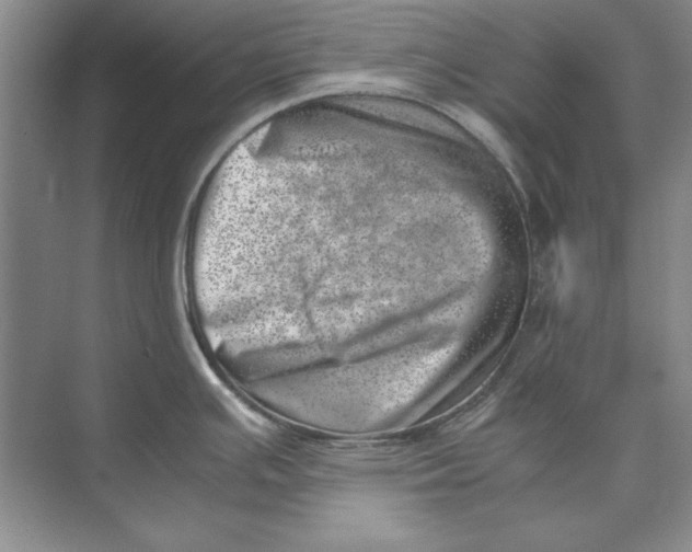 X0000074951391200609221719