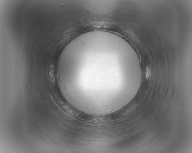 X0000074951396200609221719