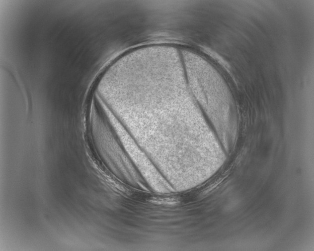 X0000074951415200609221719