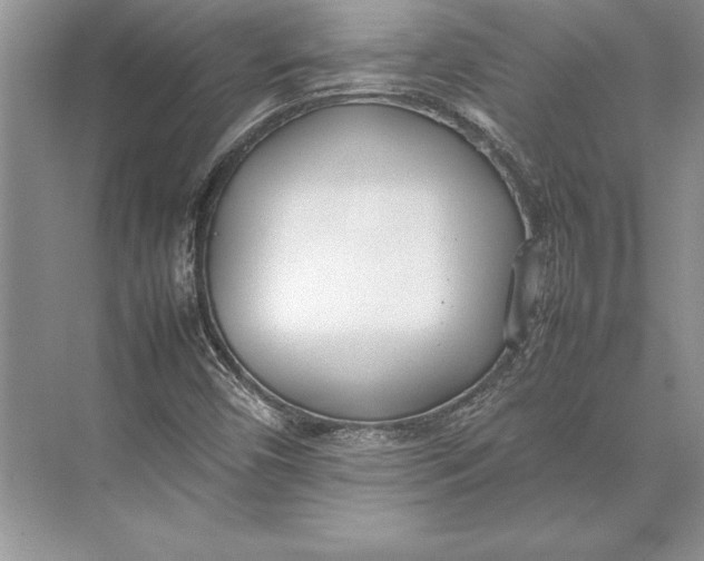 X0000074951450200609221718