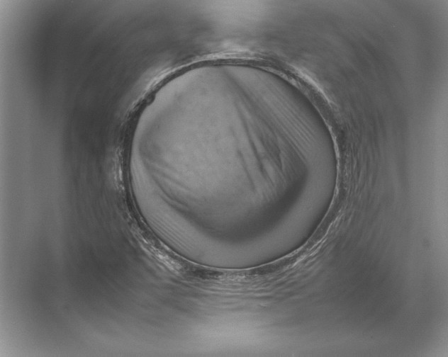 X0000074951455200609221718