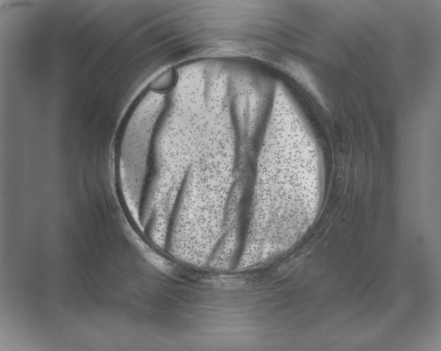 X0000074951476200609221718