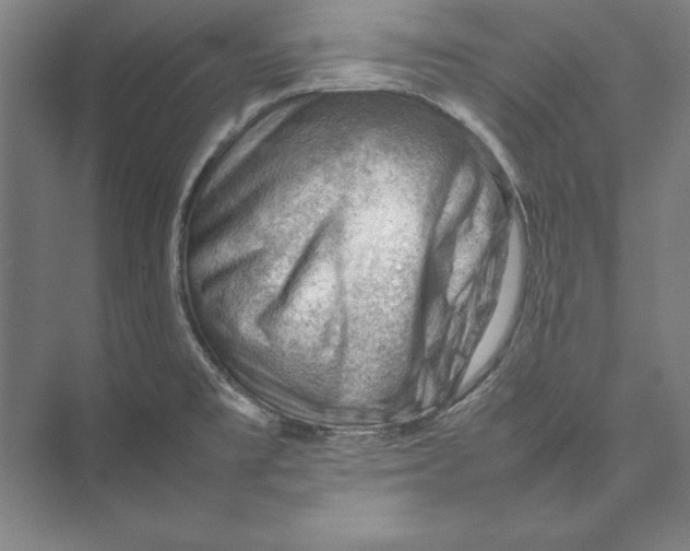X0000074951477200609221718