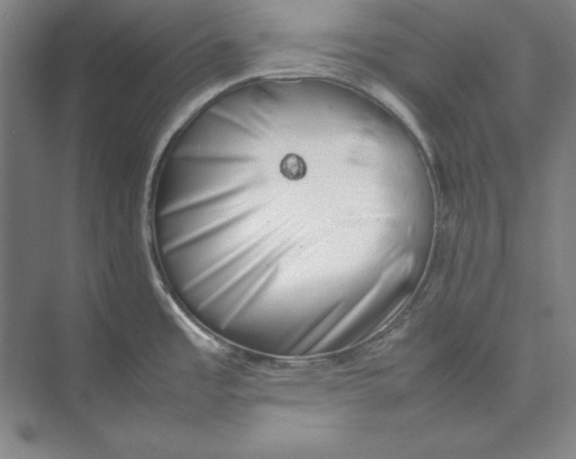 X0000074951485200609221718