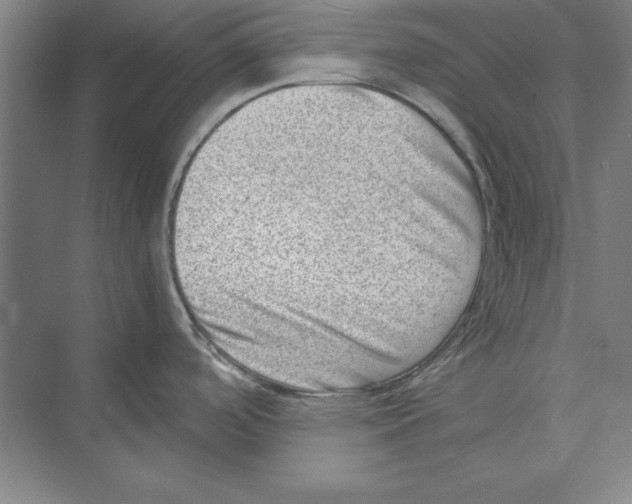 X0000074951488200609221718