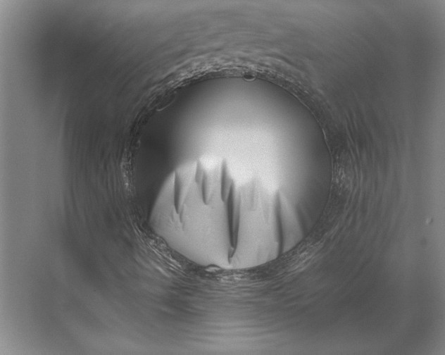 X0000074951490200609221717